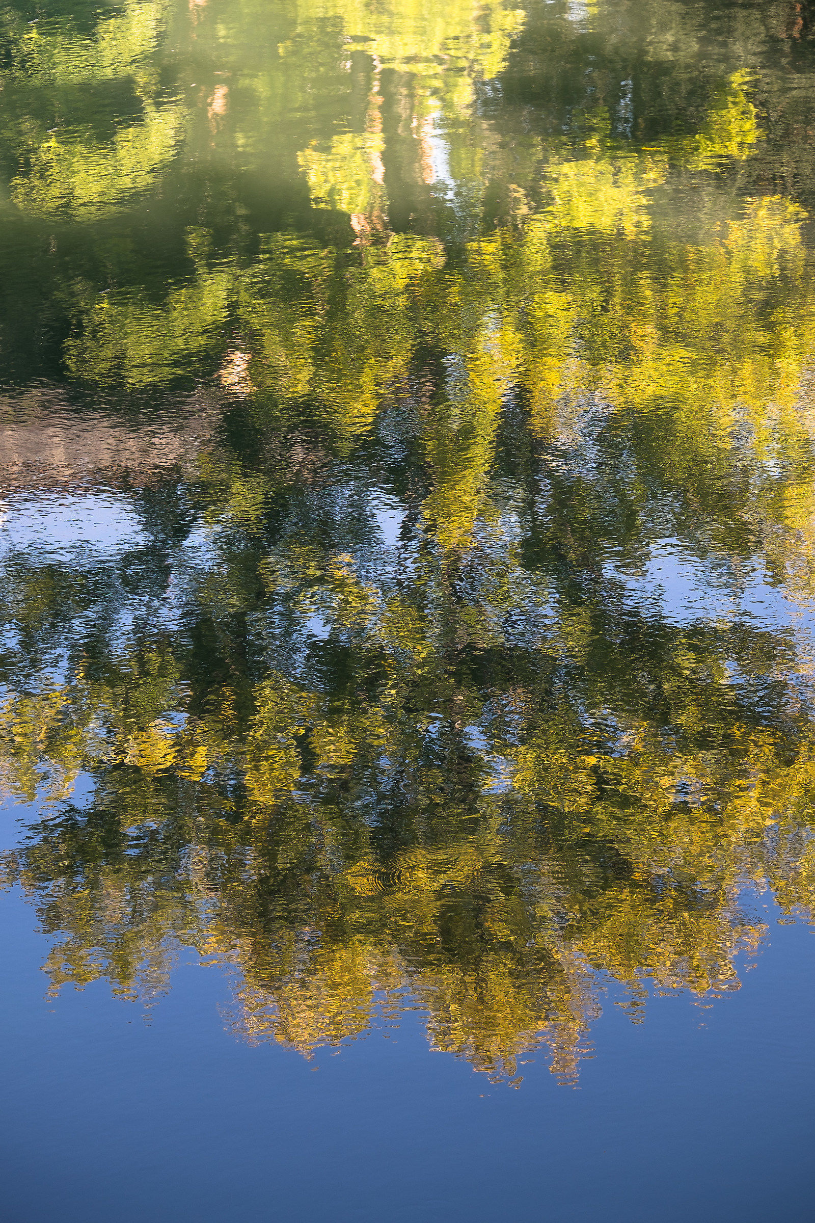 omaggio a Monet...............