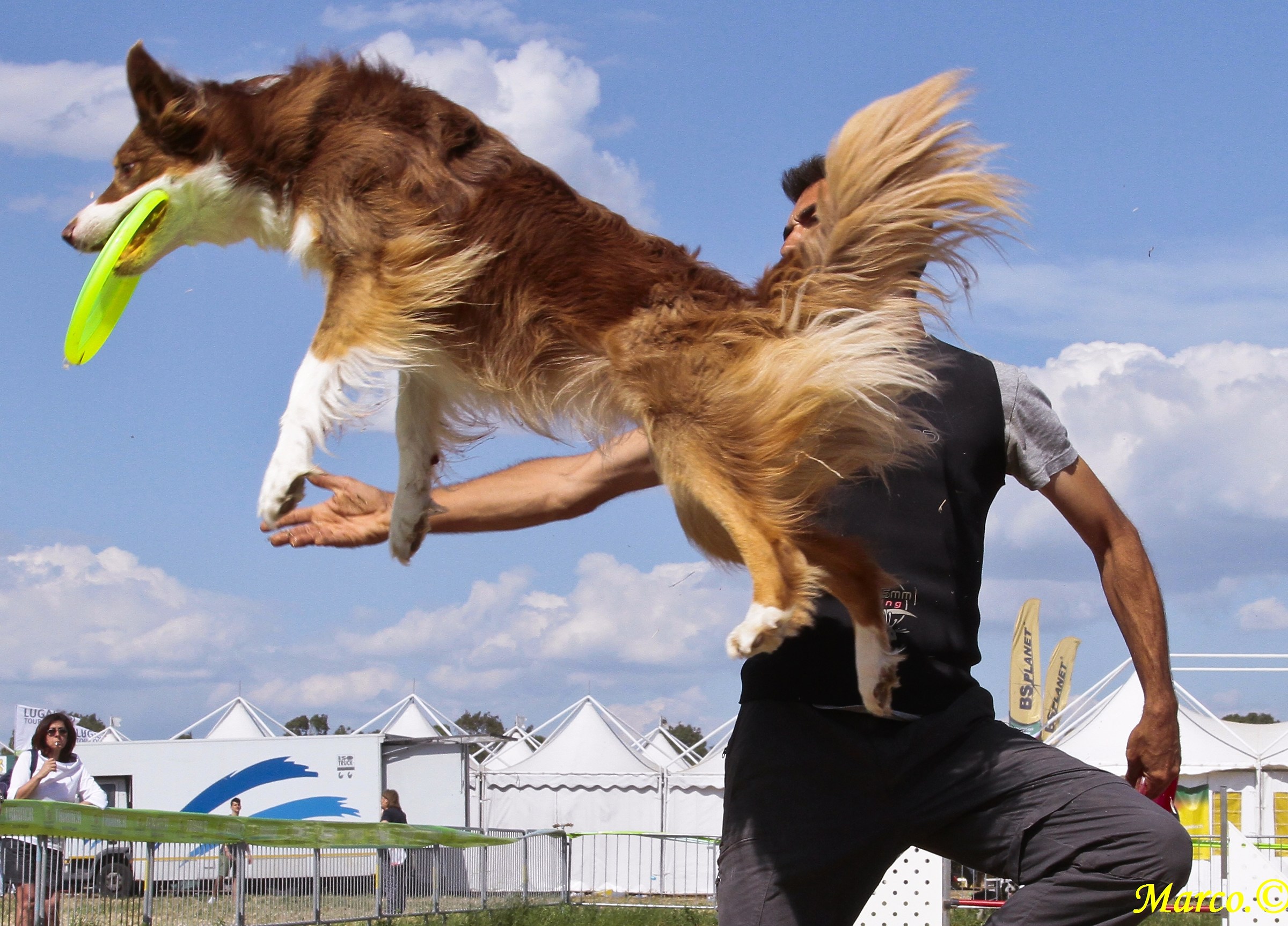Disc Dog 2