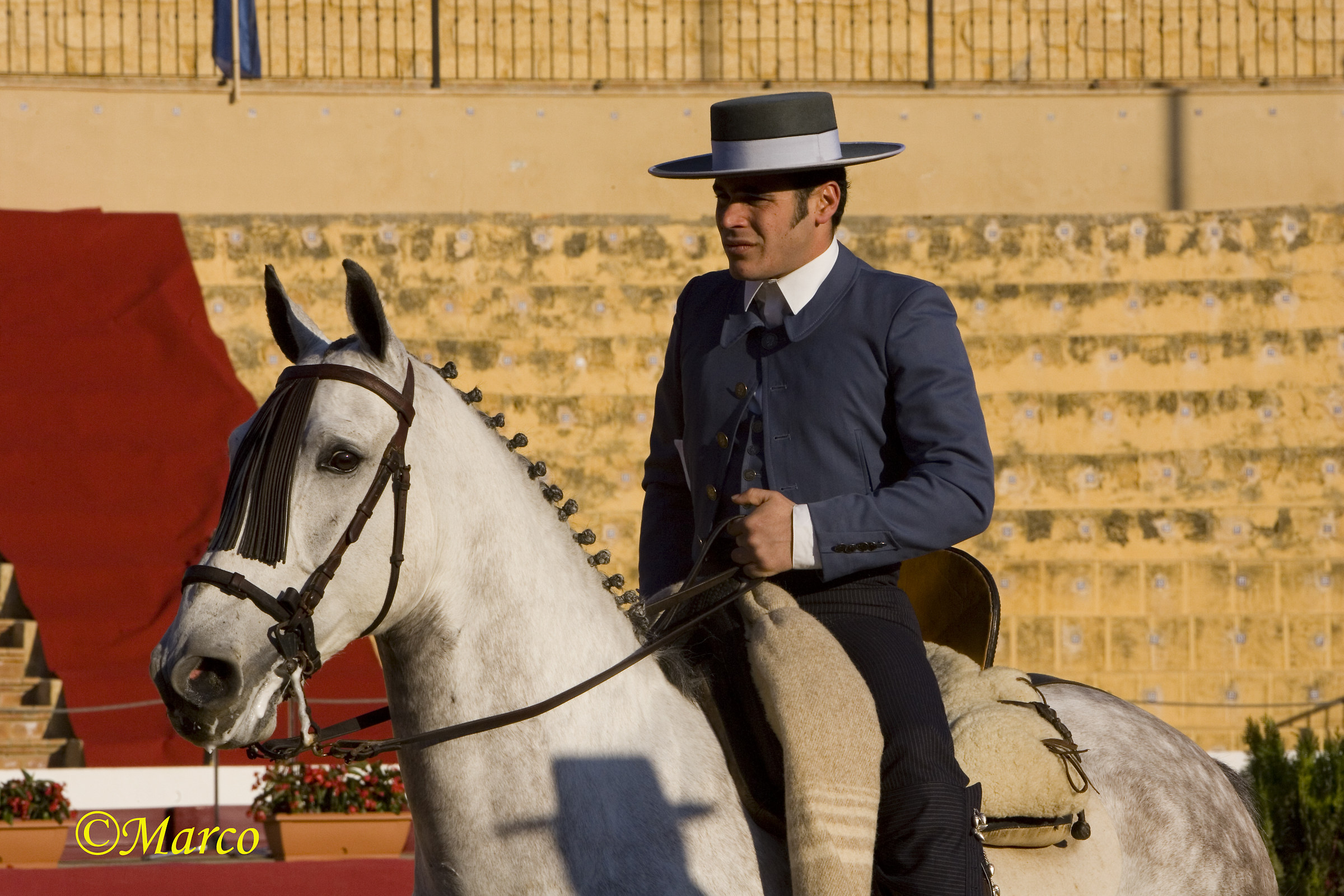 Andalusia 1