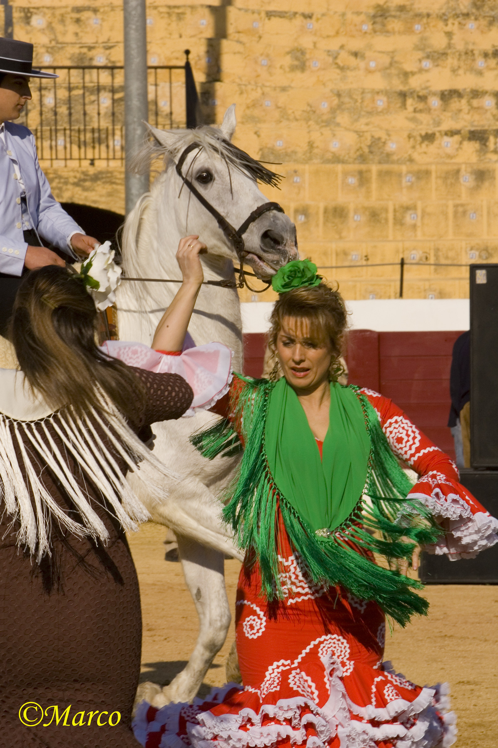 Andalusian passion 2