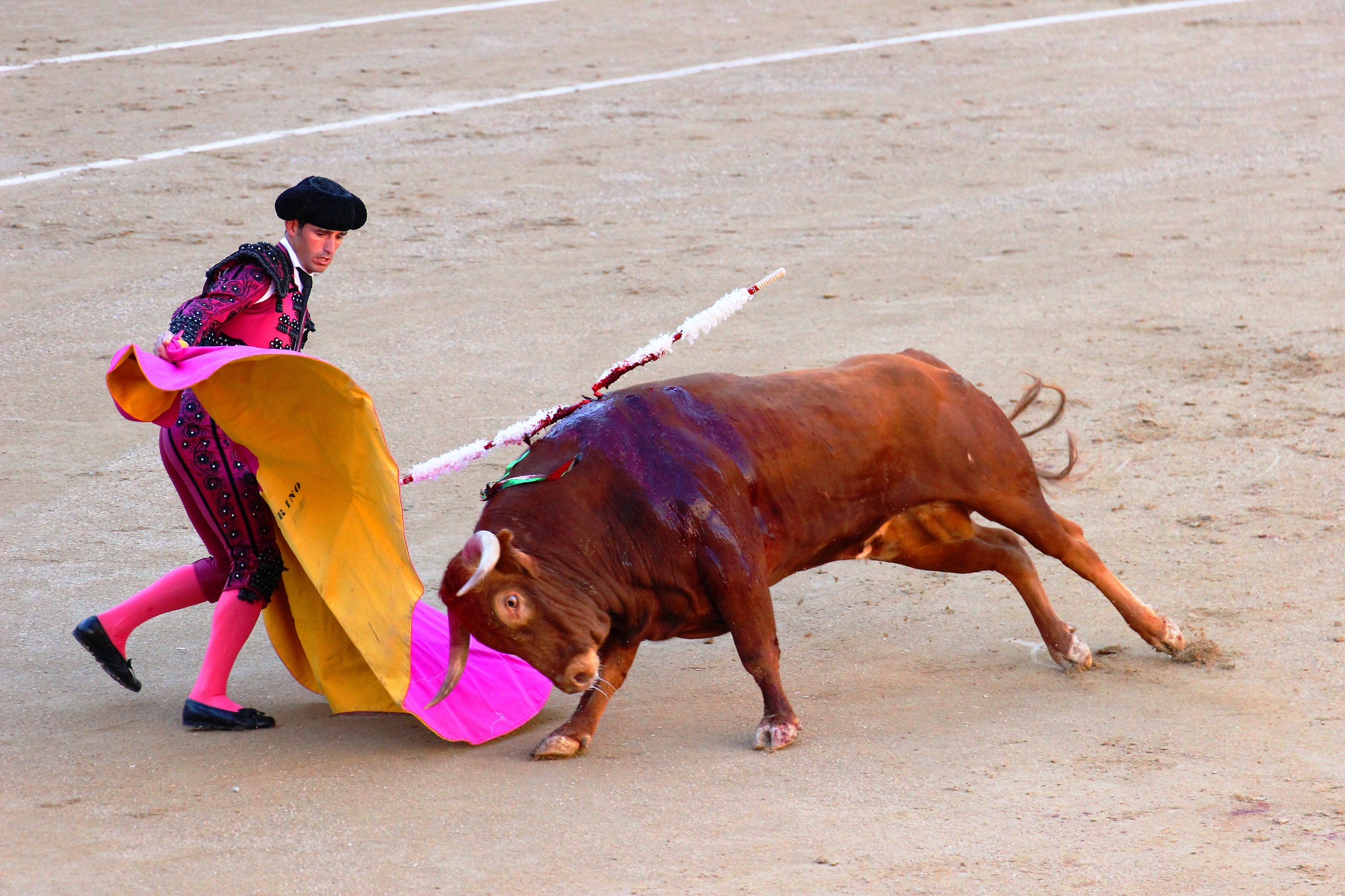 Plaza de toros de las Ventas