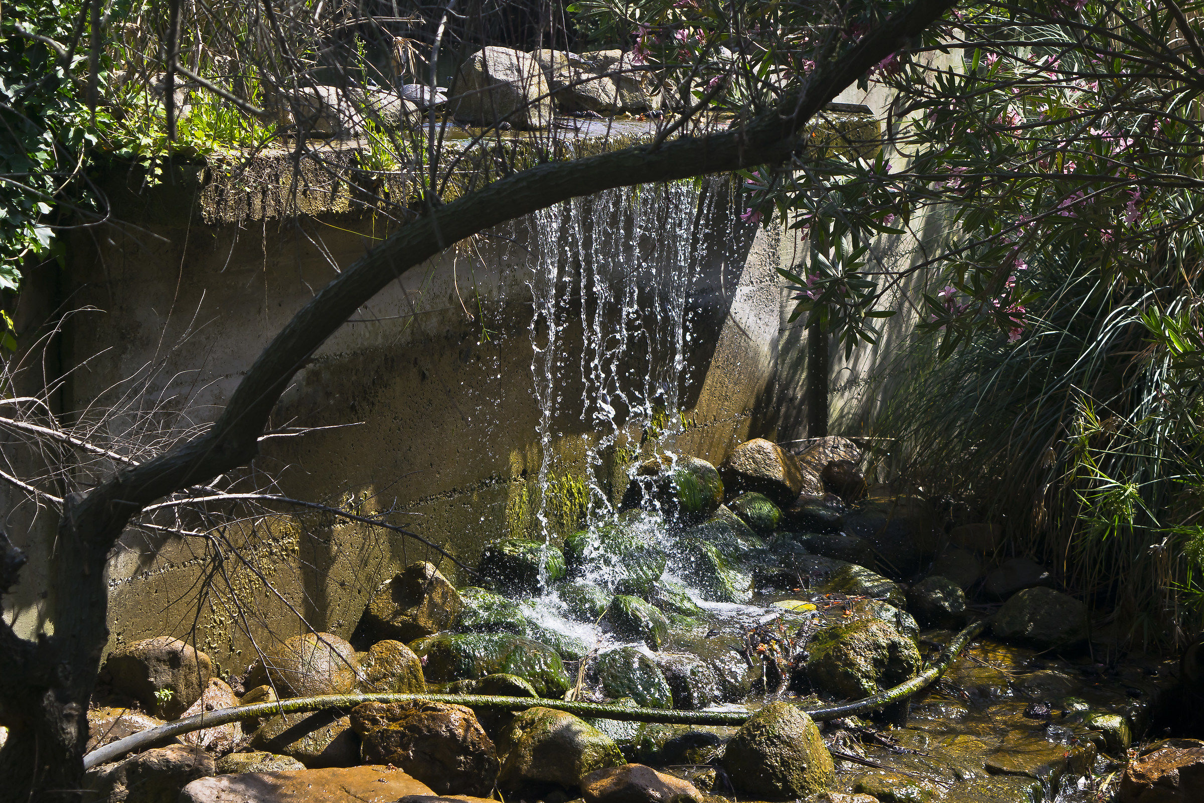 Park of Monte Urpinu, Cagliari