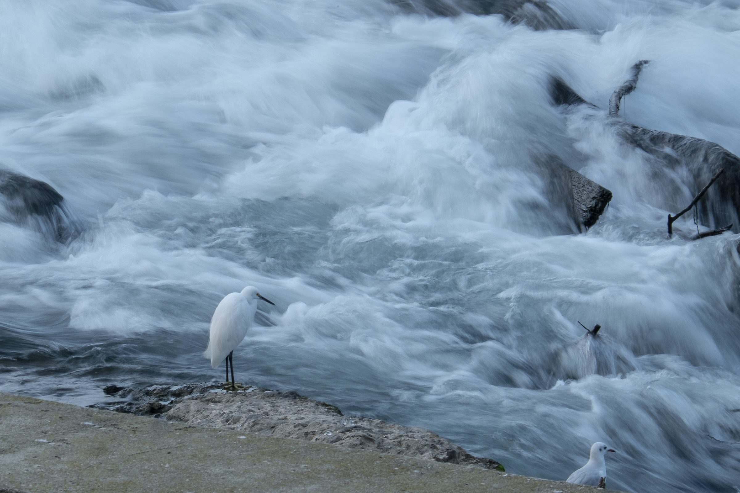 Today no fishing ....................