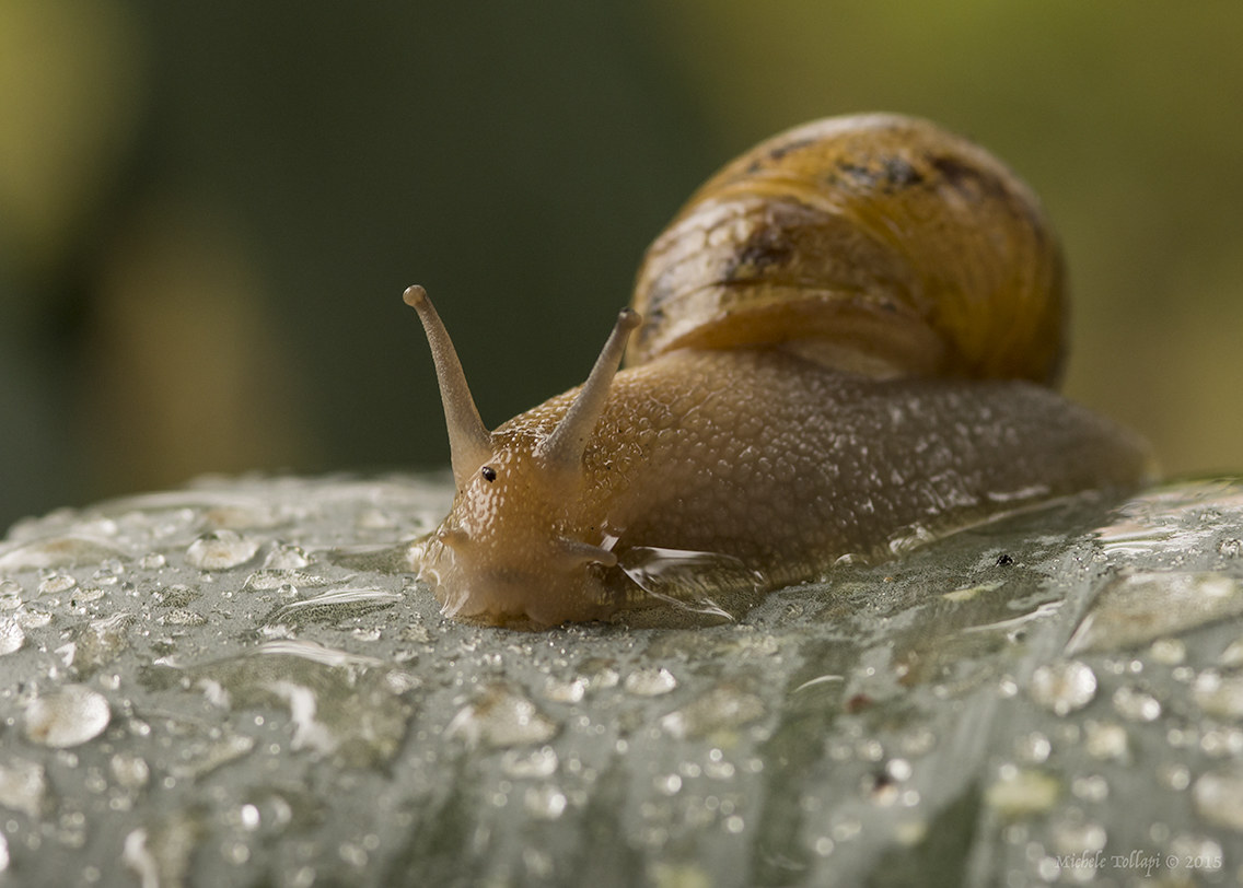 due passi sotto la pioggia