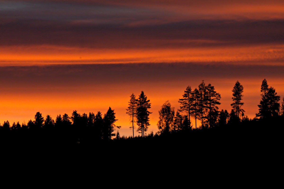 silhouette nel tramonto