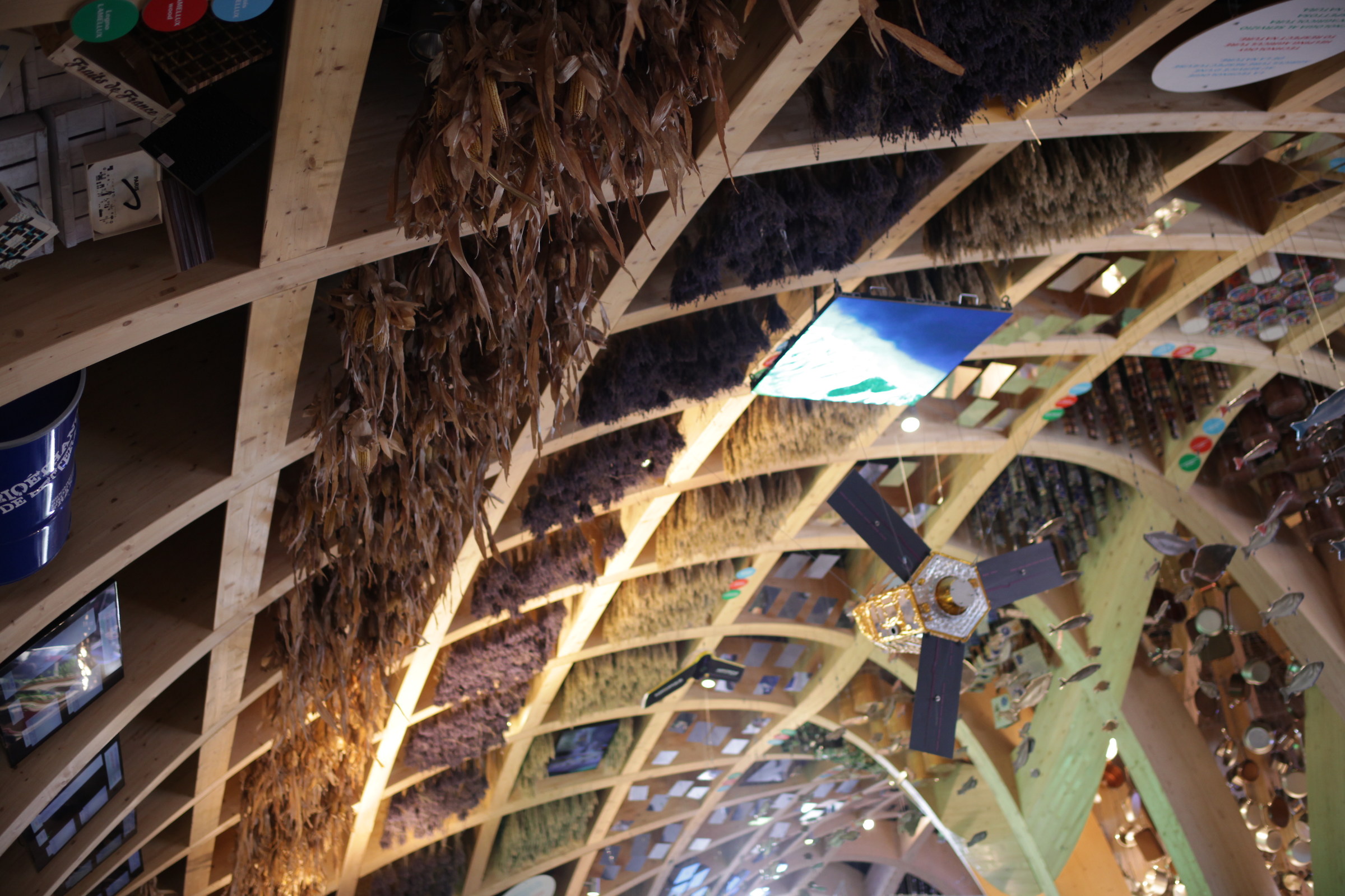 france but down under