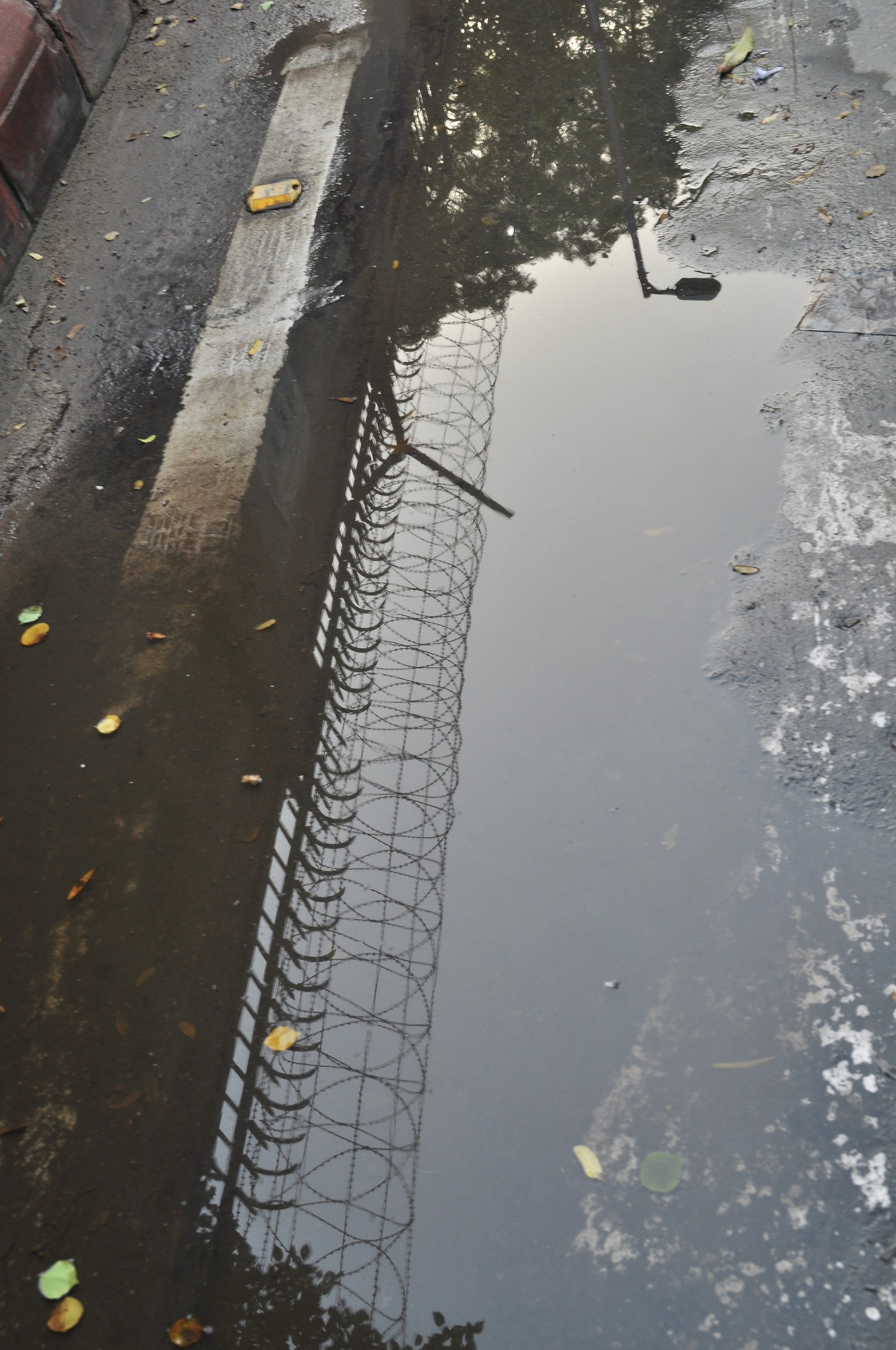 Urban life reflection - Delhi, India