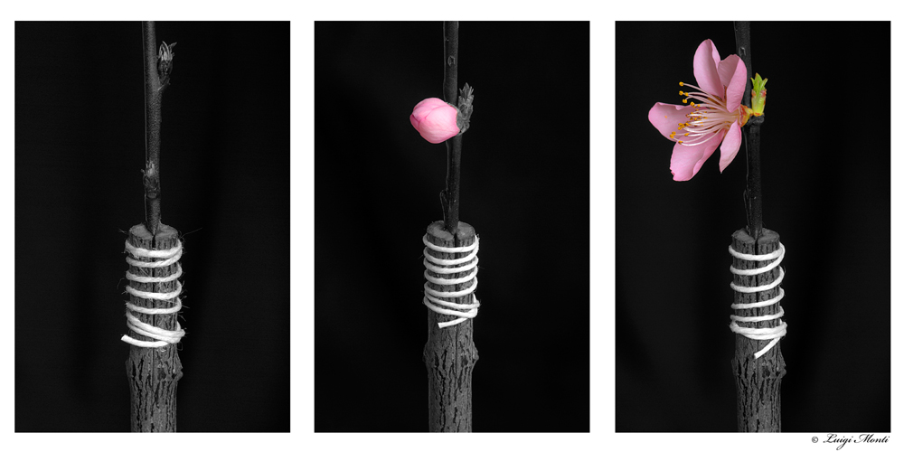 Convivenza&Diversità