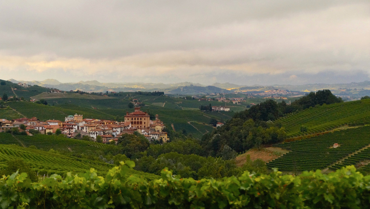 Barolo and its precious vineyards