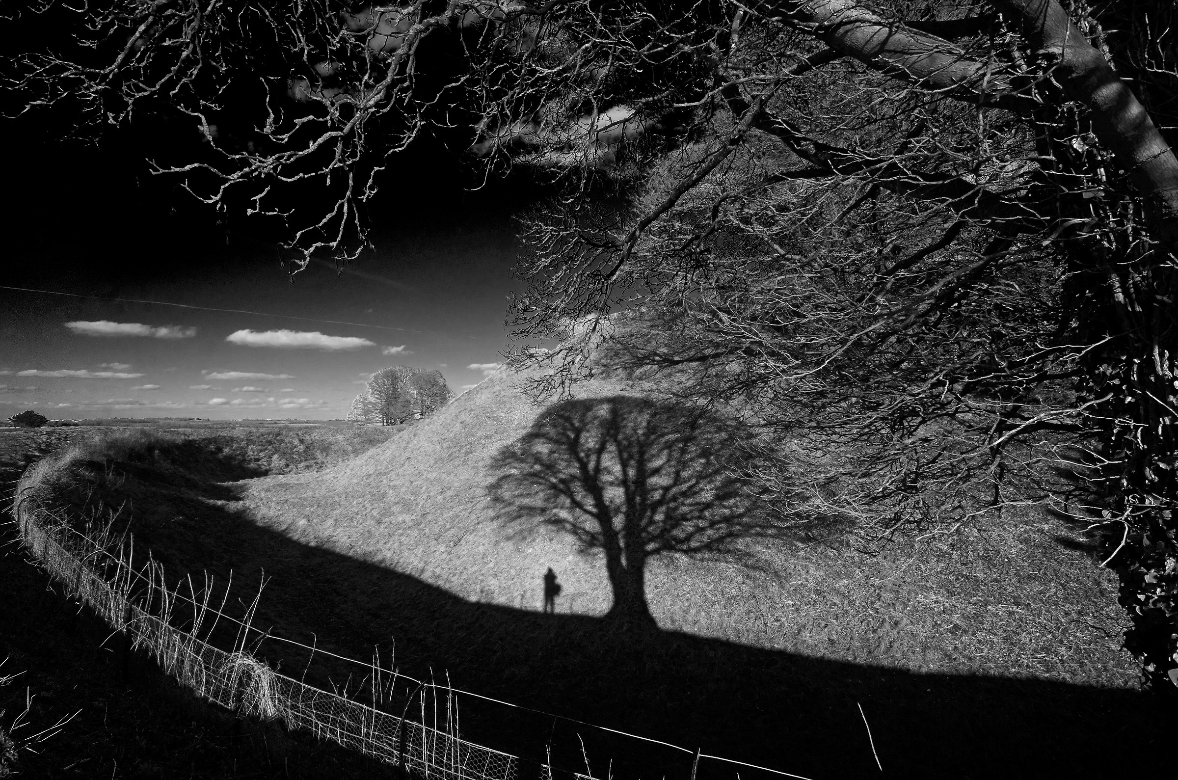 Hillfort, Albero, Fotografo