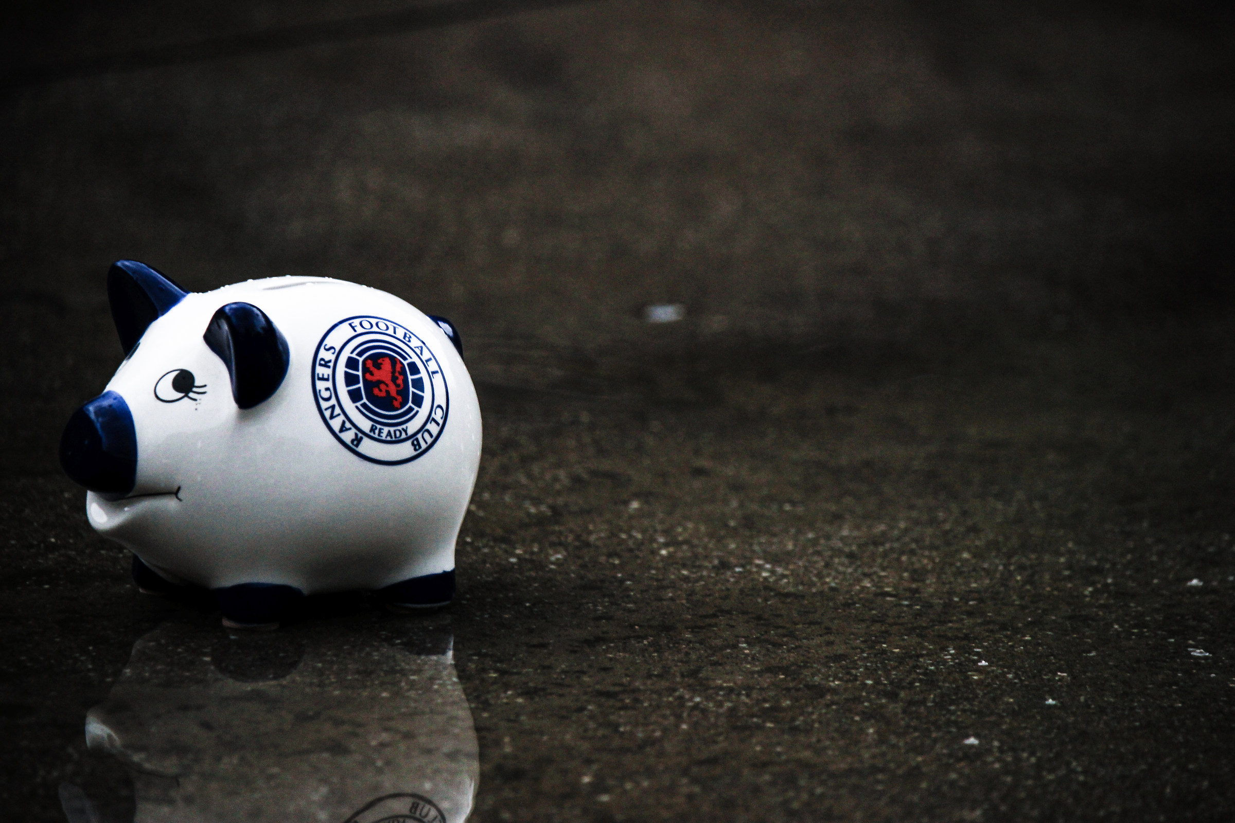 La piccola mascotte :)