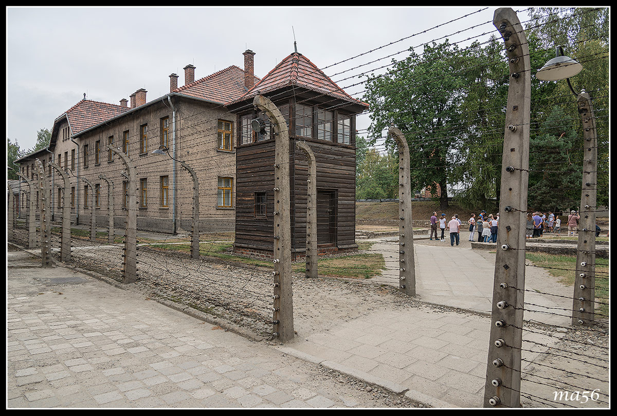 auschwitz