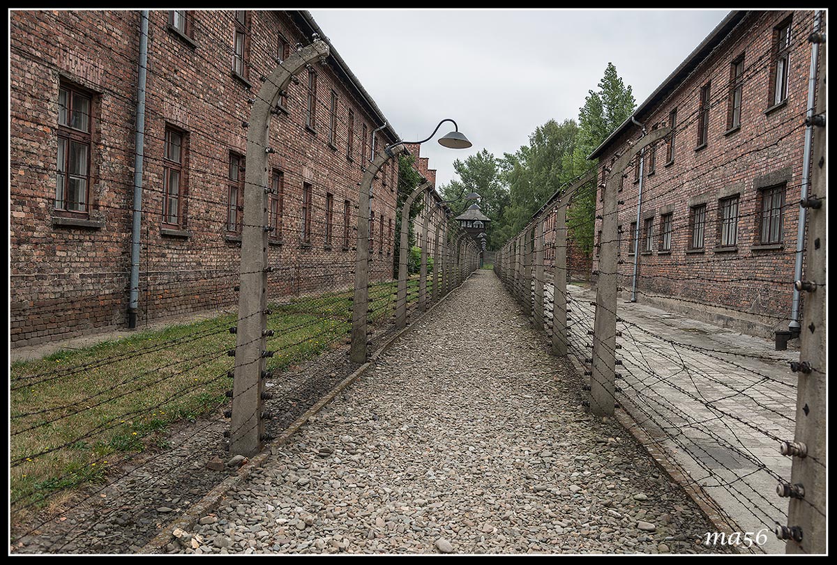 auschwitz