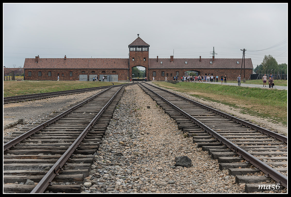 Birkenau