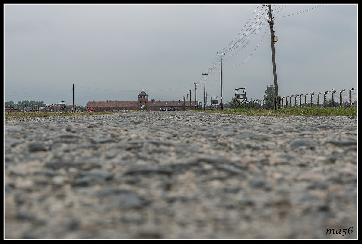 Birkenau