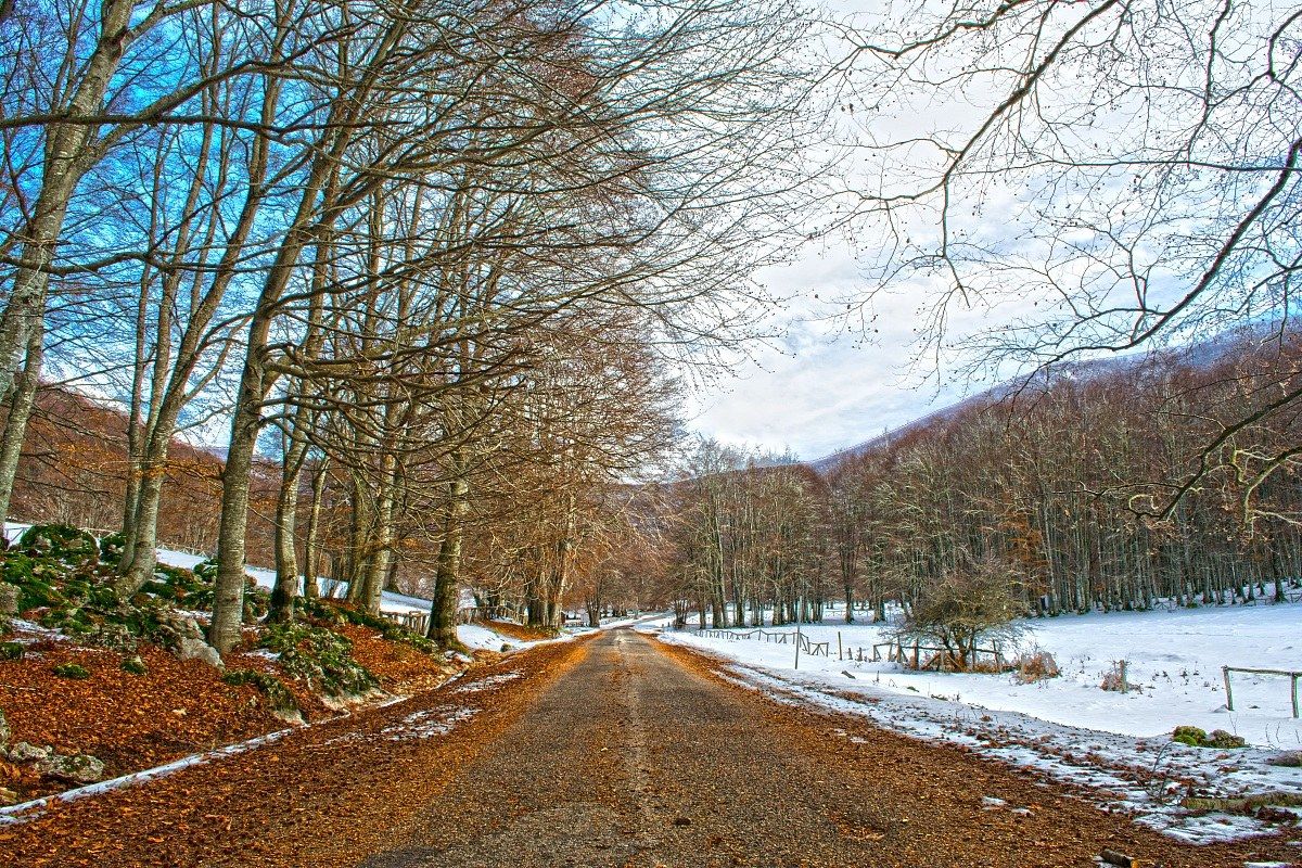 La stagione piu bella