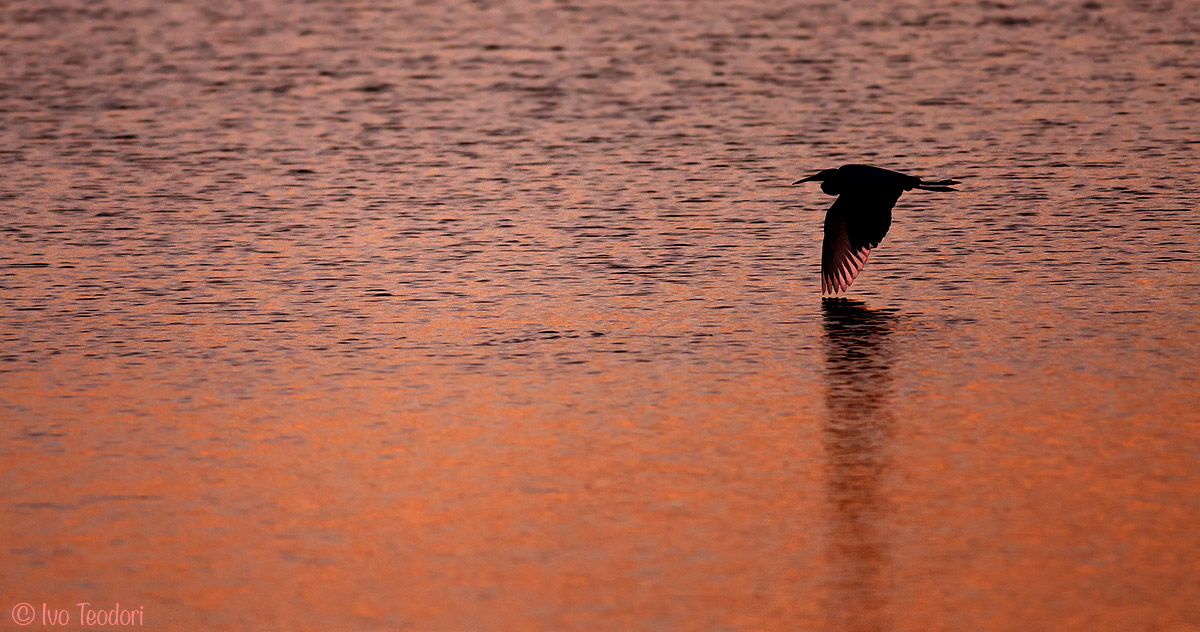 S returns to the House.