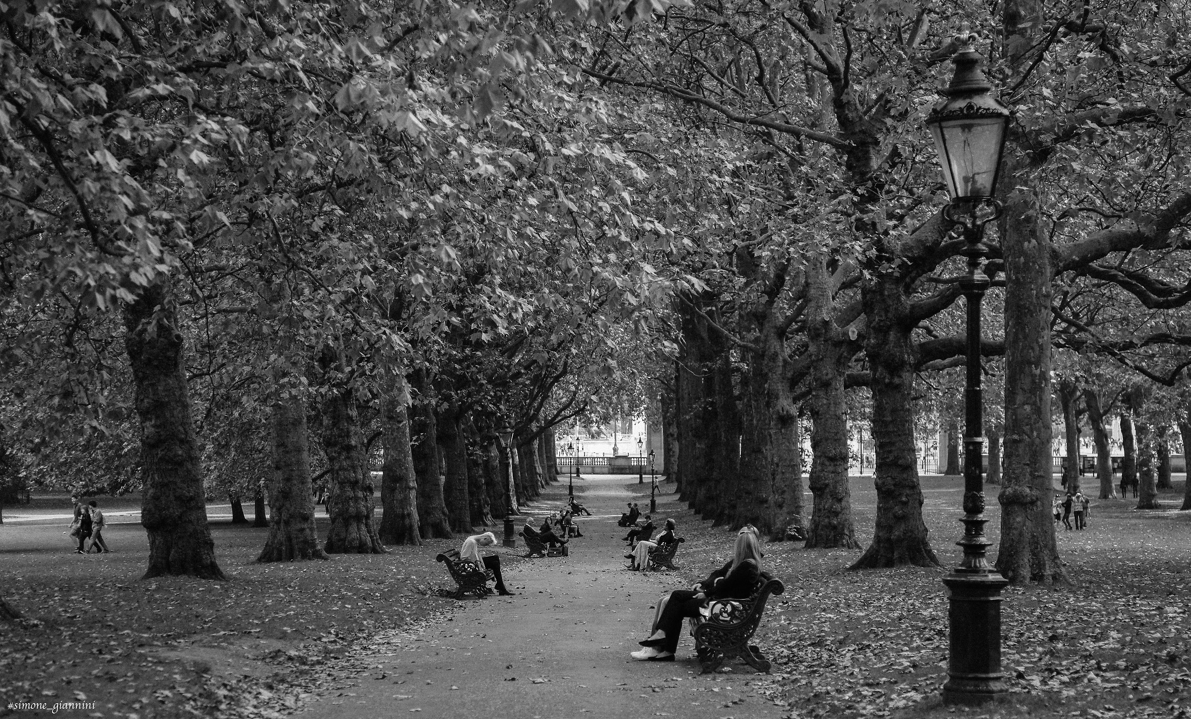 Autumn in St James Park
