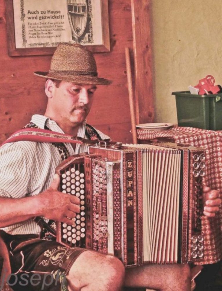 suonatore di fisarmonica