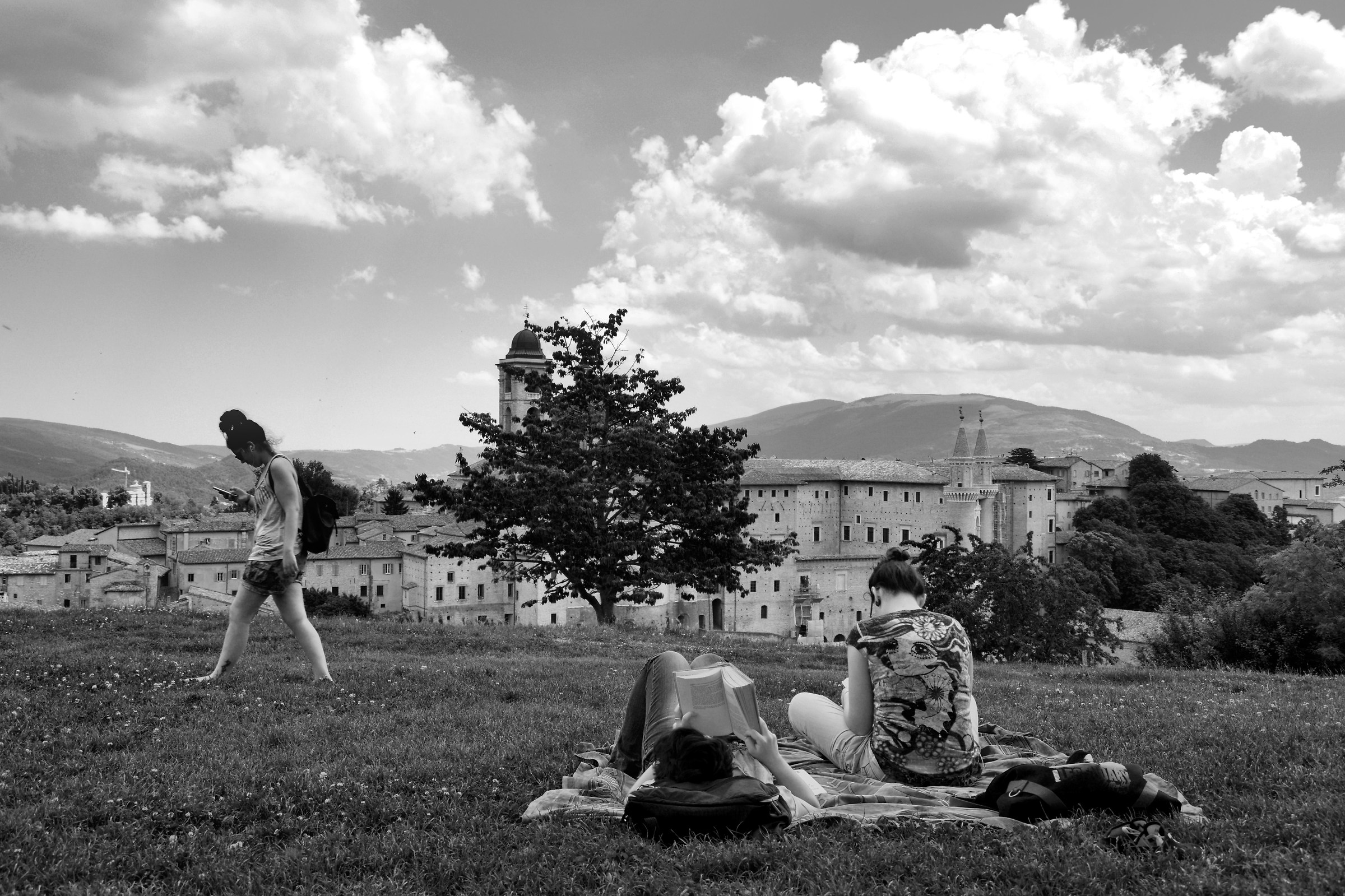 Godsend that the university in Urbino!