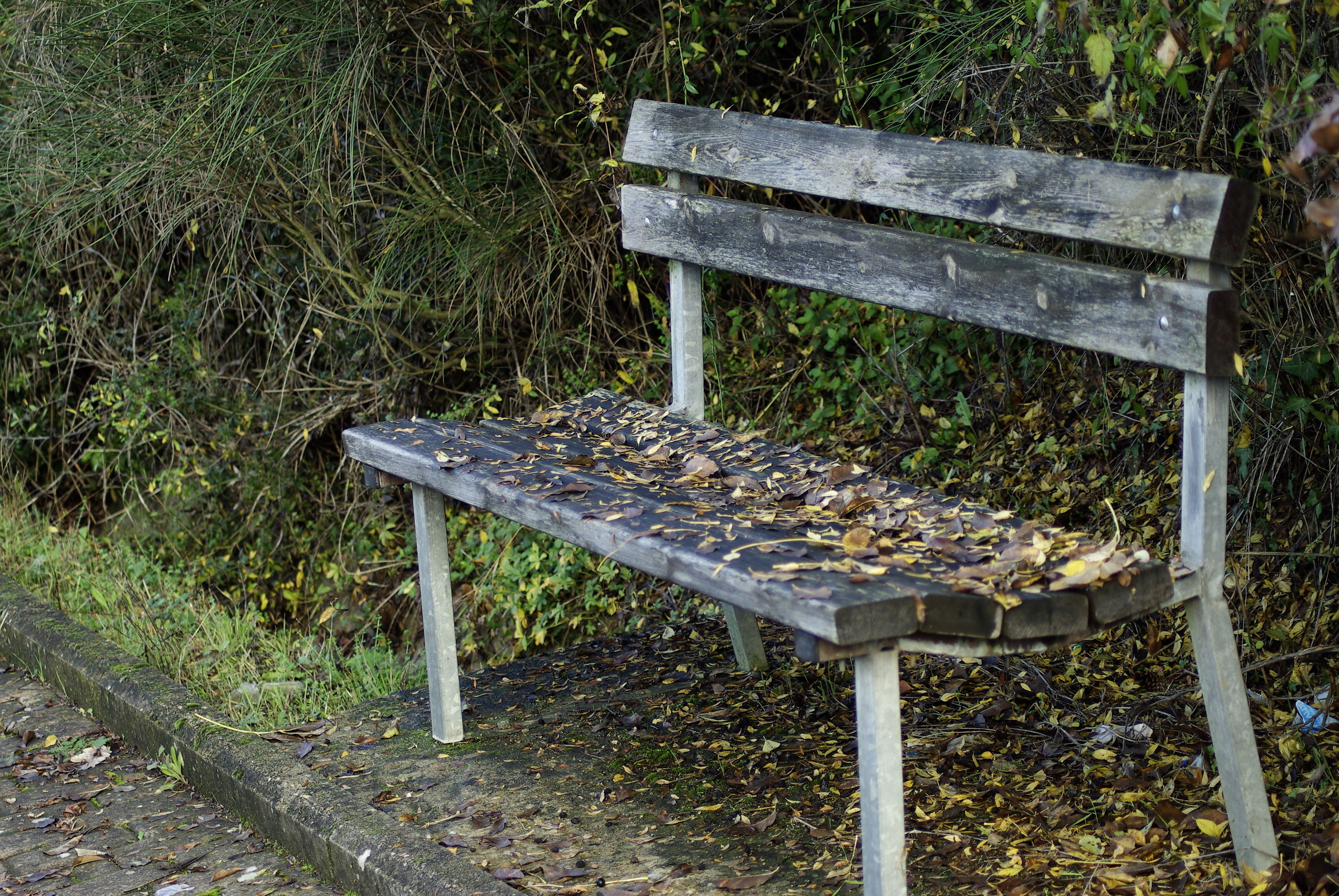 in attesa....di qualcuno!!!!