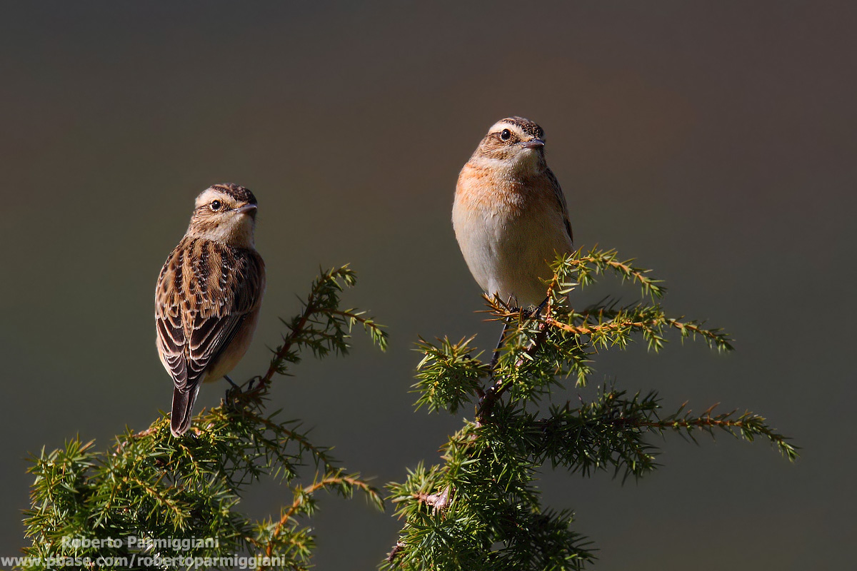 Questione di sguardi