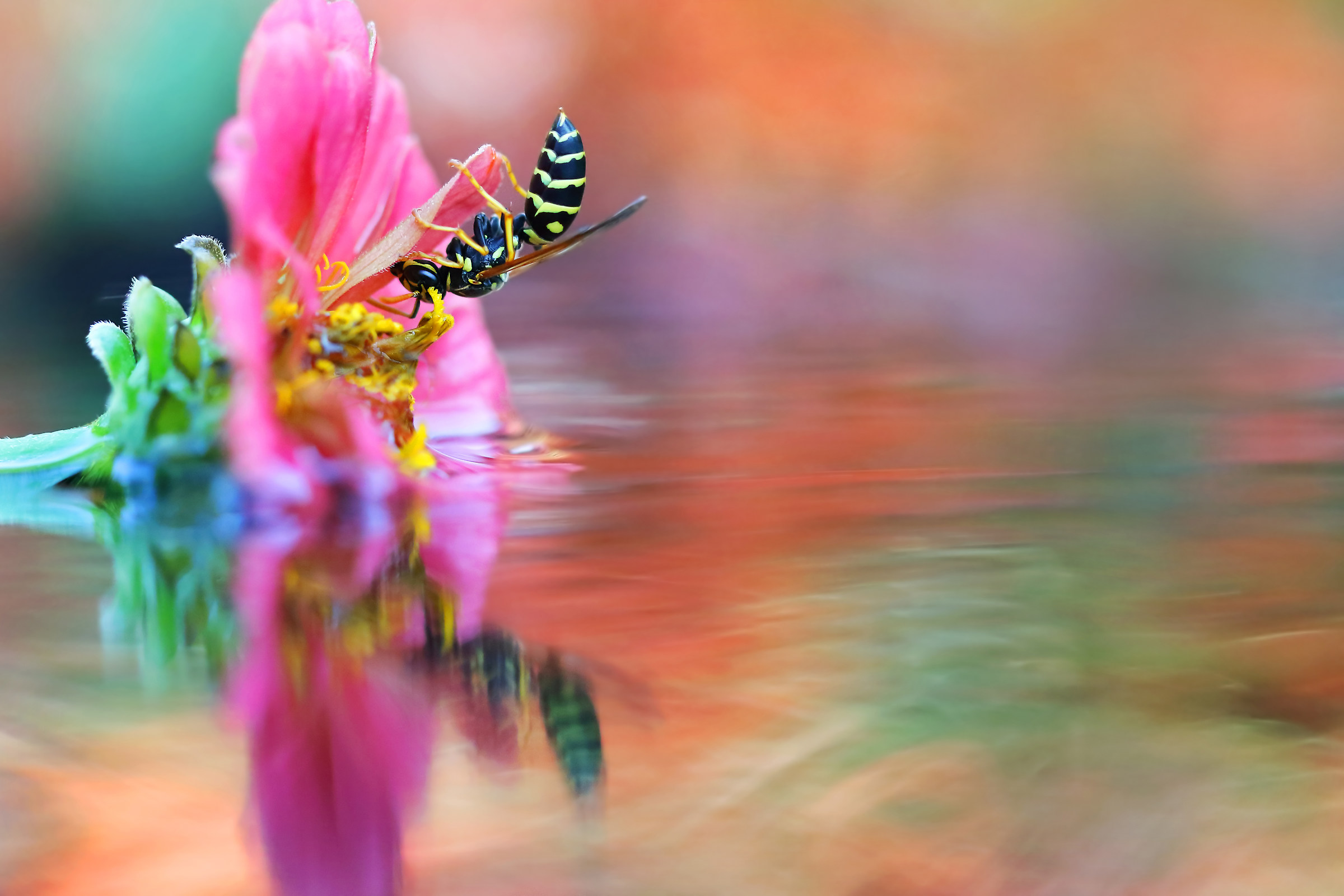 I colori della natura