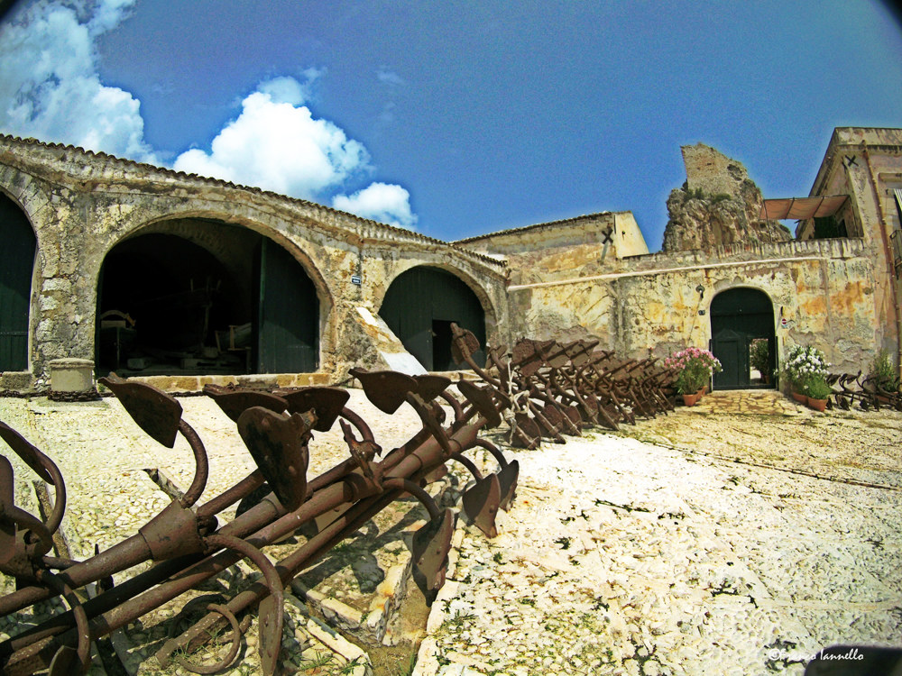 Tuna Scopello - Anchors