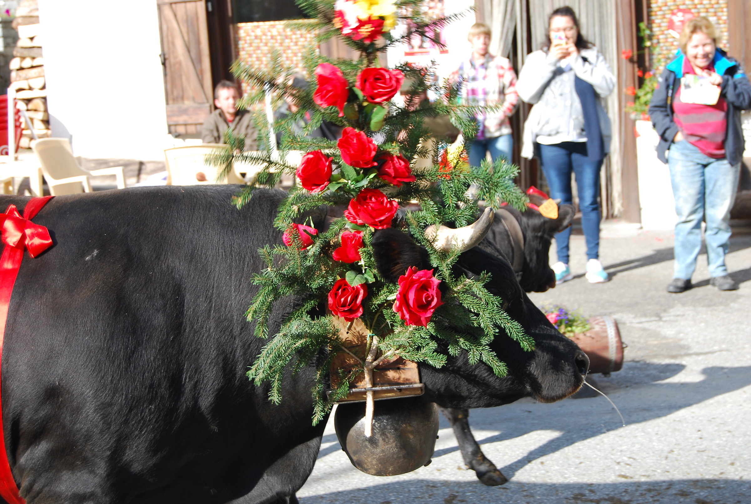 Desarpa 2015 di Valgrisenche (Ao)