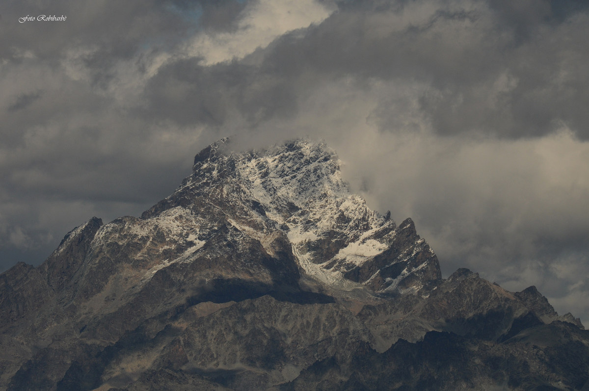 Prima bianca in...Viso...