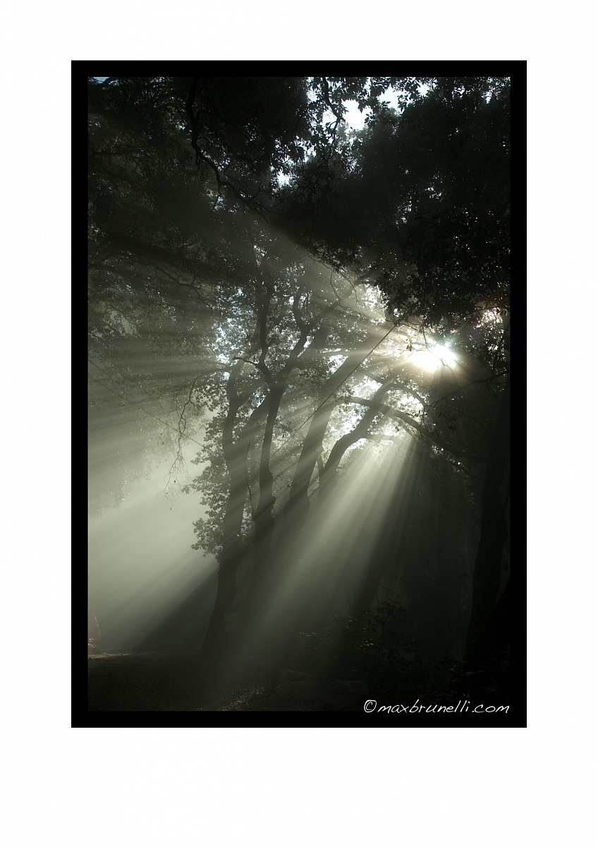 sacred grove of Spoleto