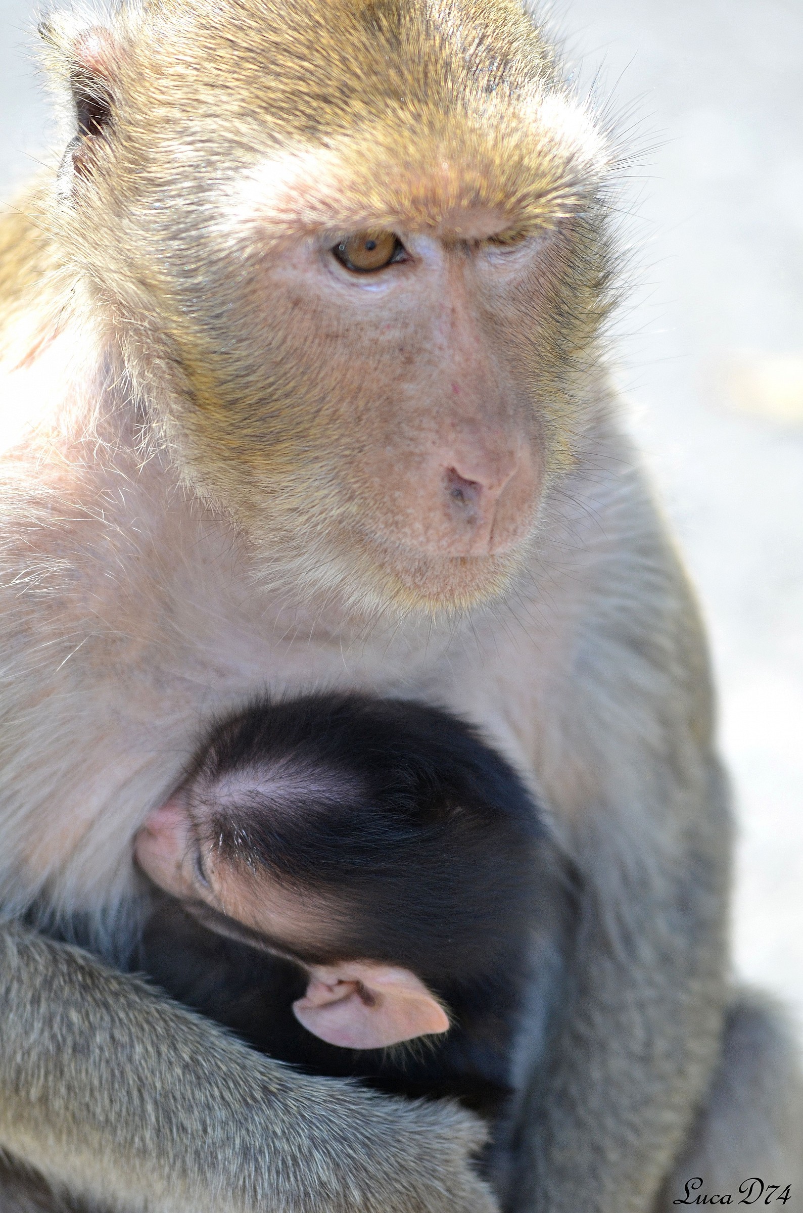 Love beyond identity ....