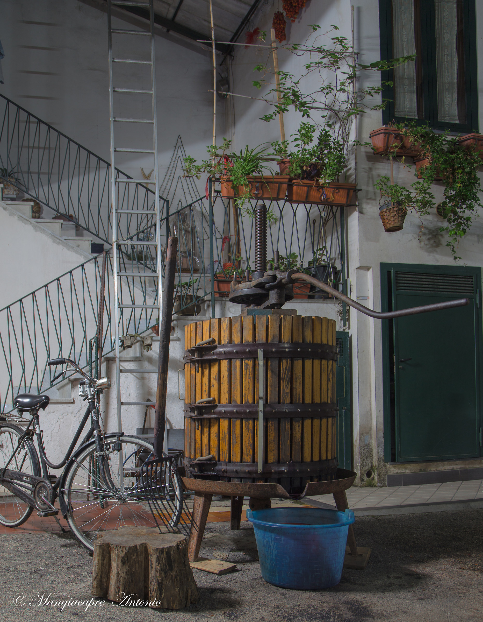 harvesting and crushing