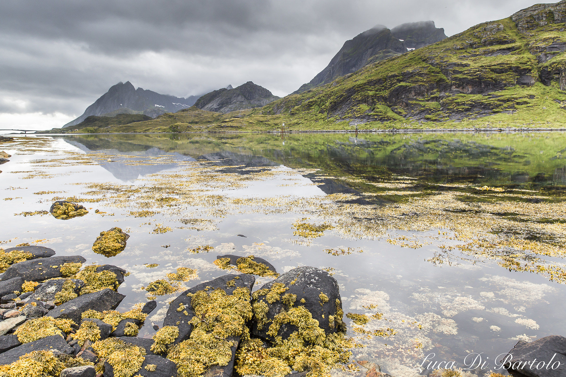 Isole Lofoten (Norvegia)