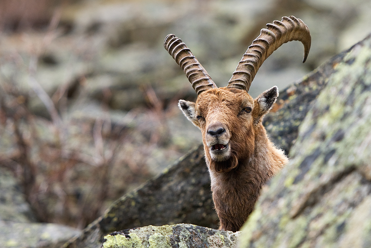 wink to the photographer