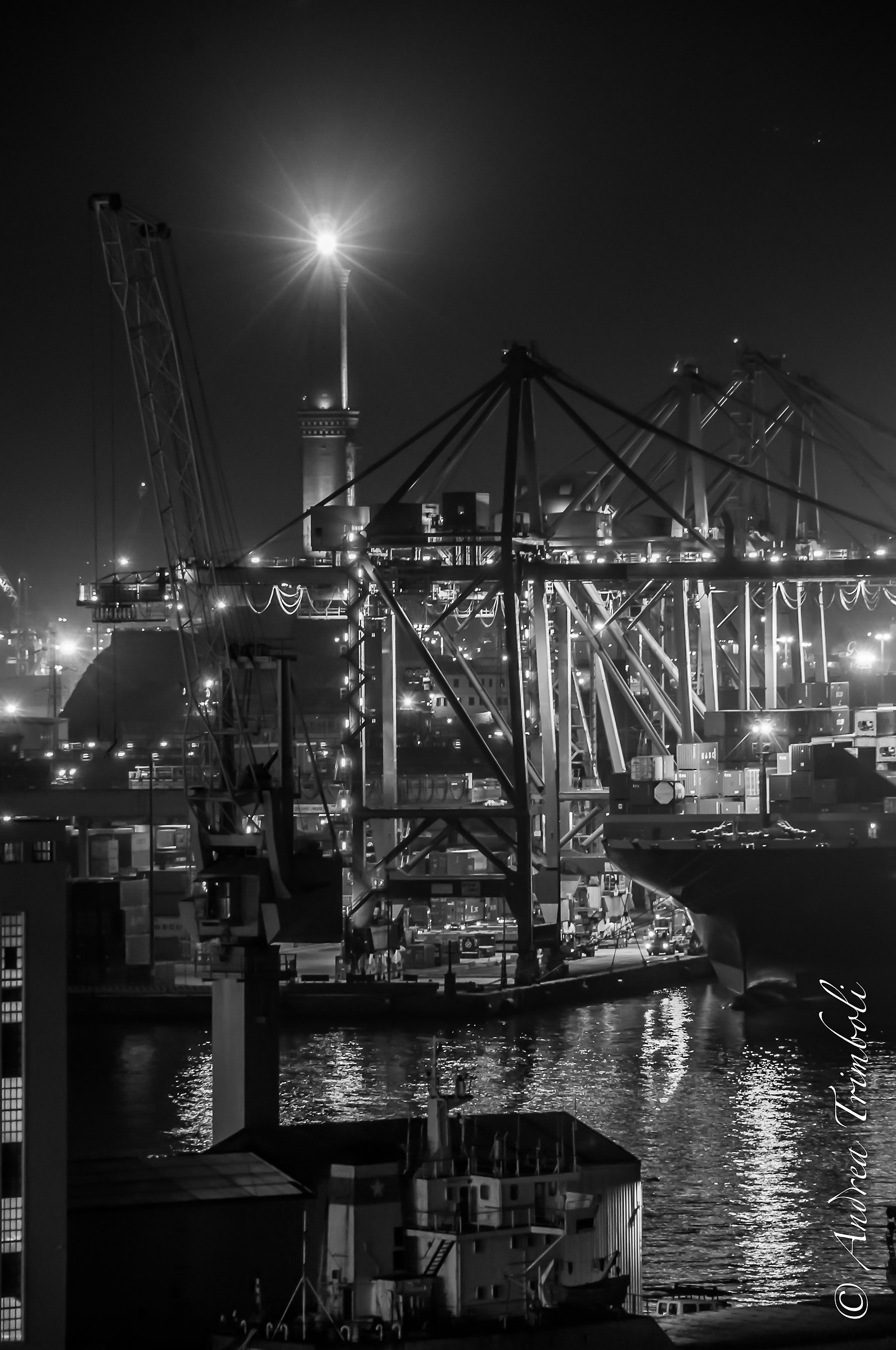 Genoa harbor night