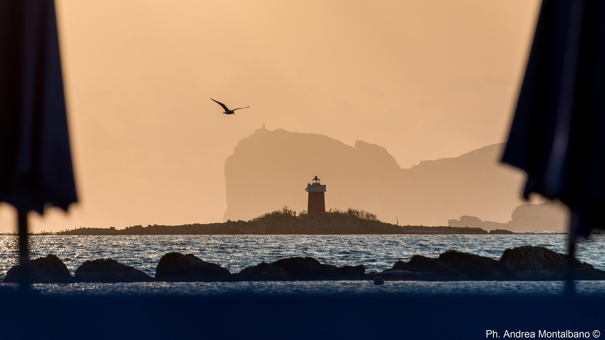 What Dreams May Come