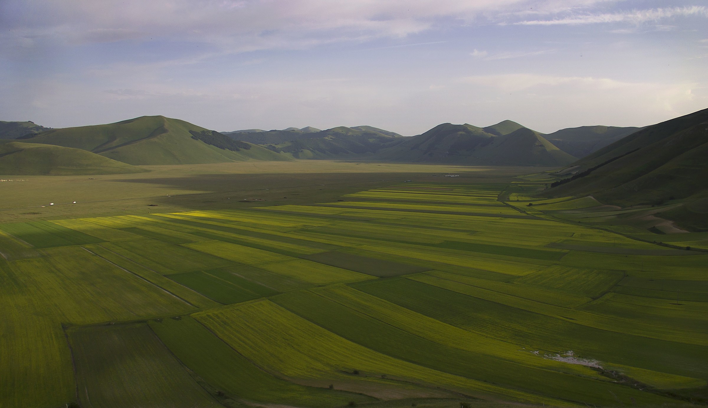 Prima Fioritura a Castelluccio