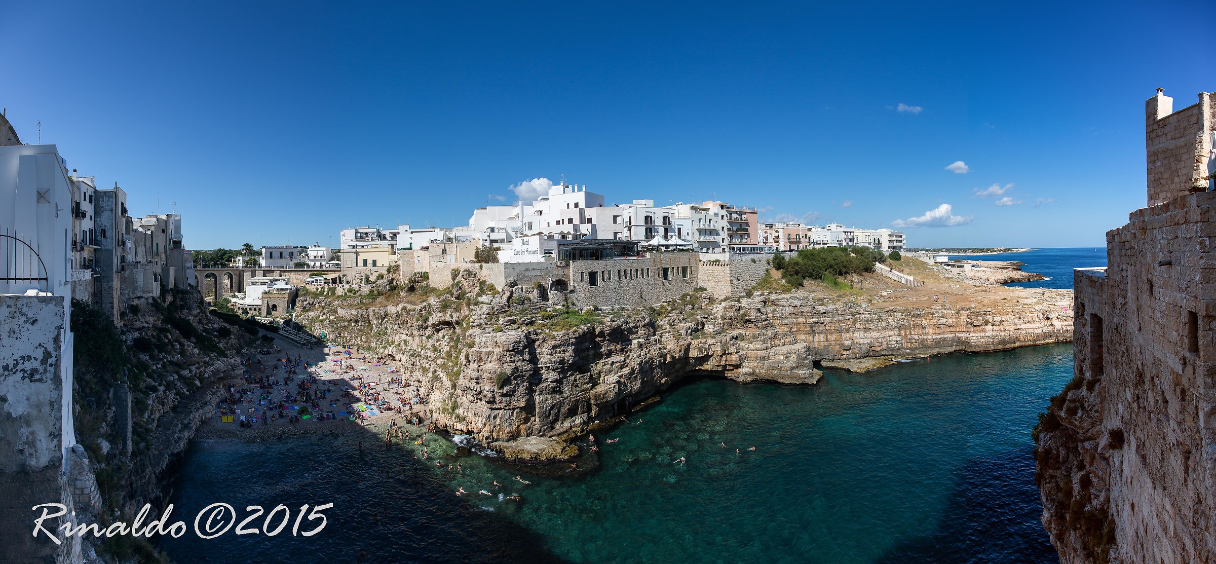 Lama Monachile overview