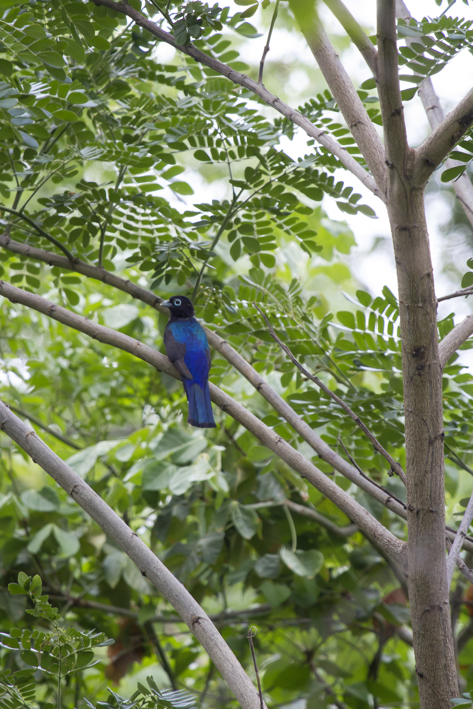 cosa ho fotografato???