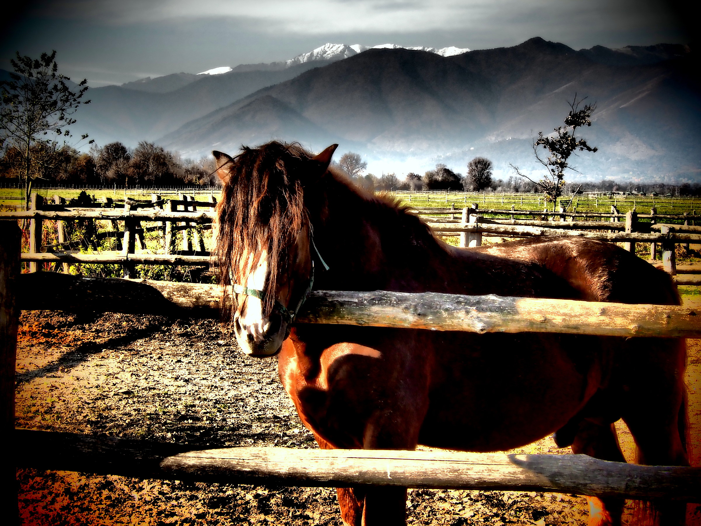 I know, I need the hairdresser.