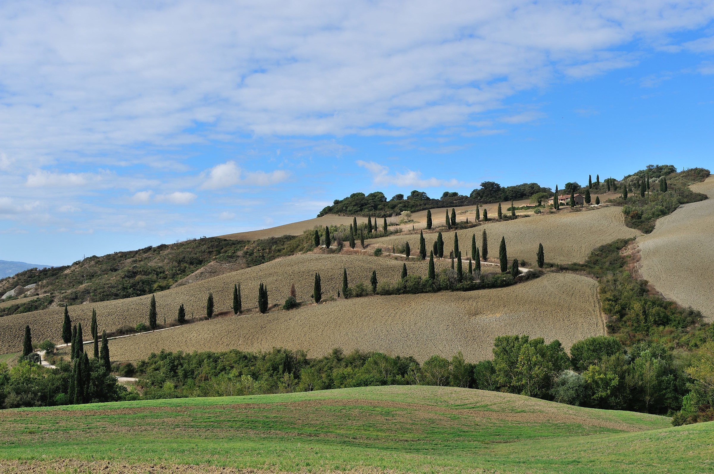 Autunno in Val d'Orcia (La Foce)