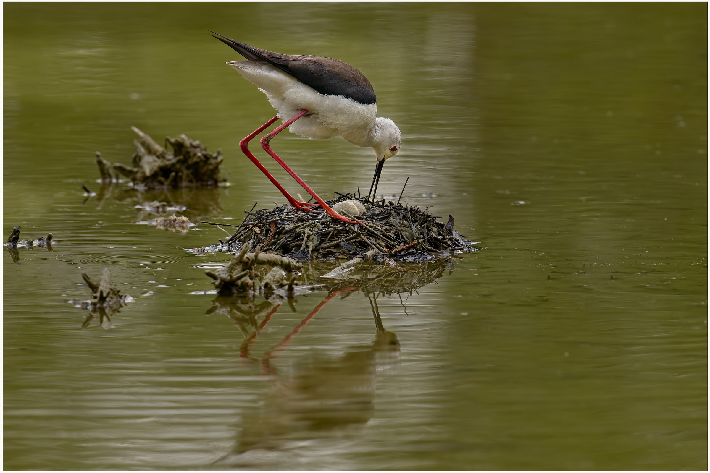 Feast of the mother .. almost!