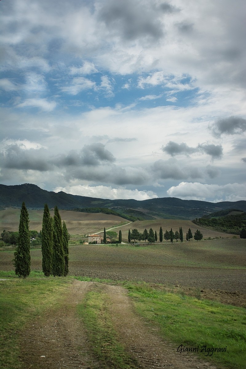 ....da San Pietro in Campo