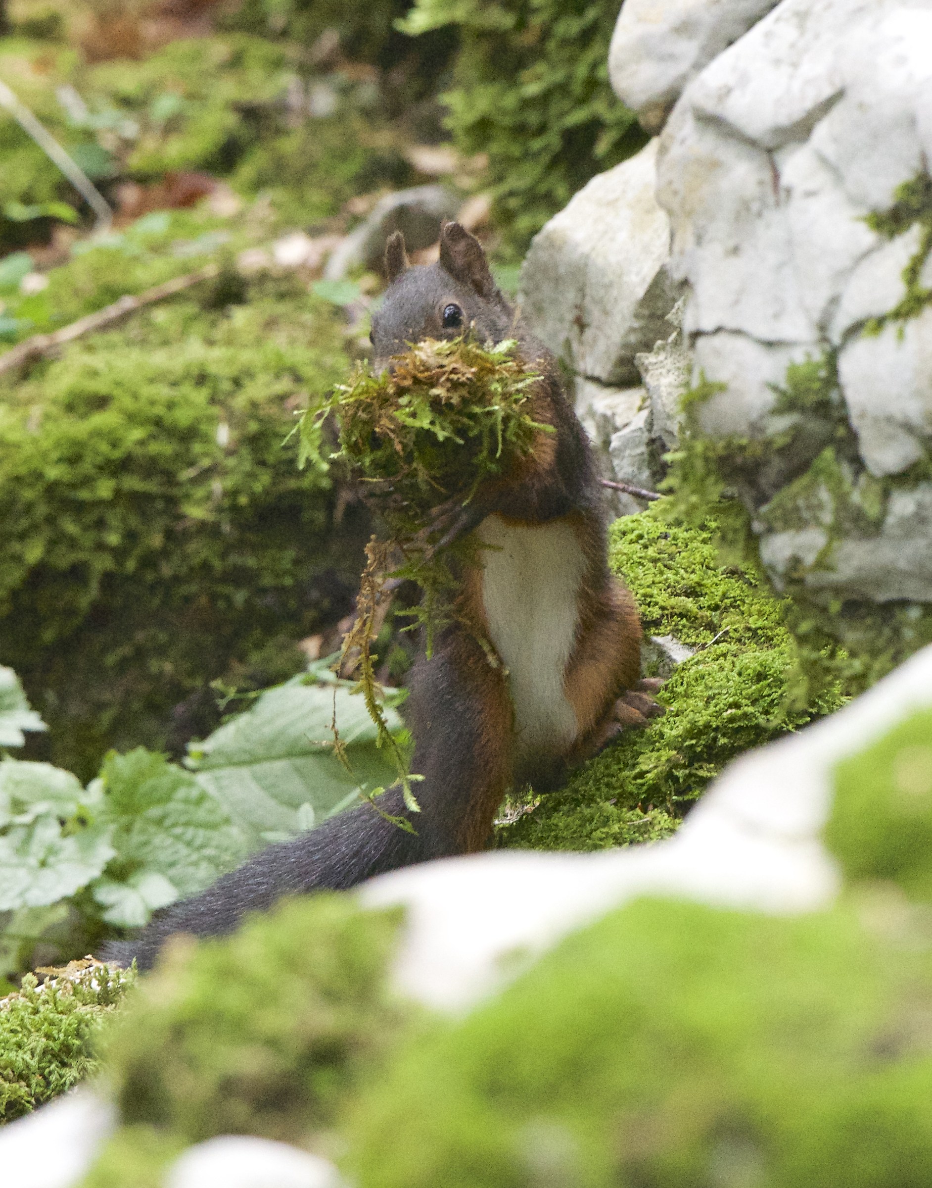 and 'time to cover the hole for the' winter 111