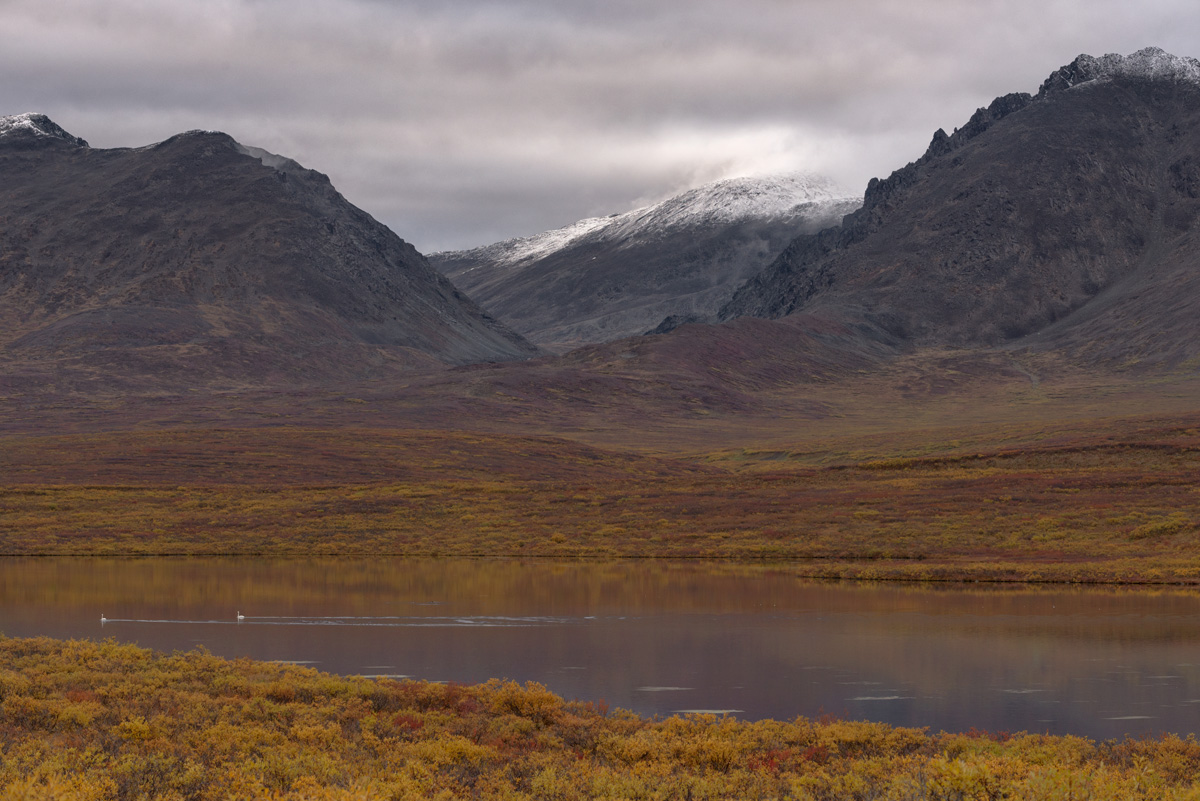 Autunno nel grande Nord
