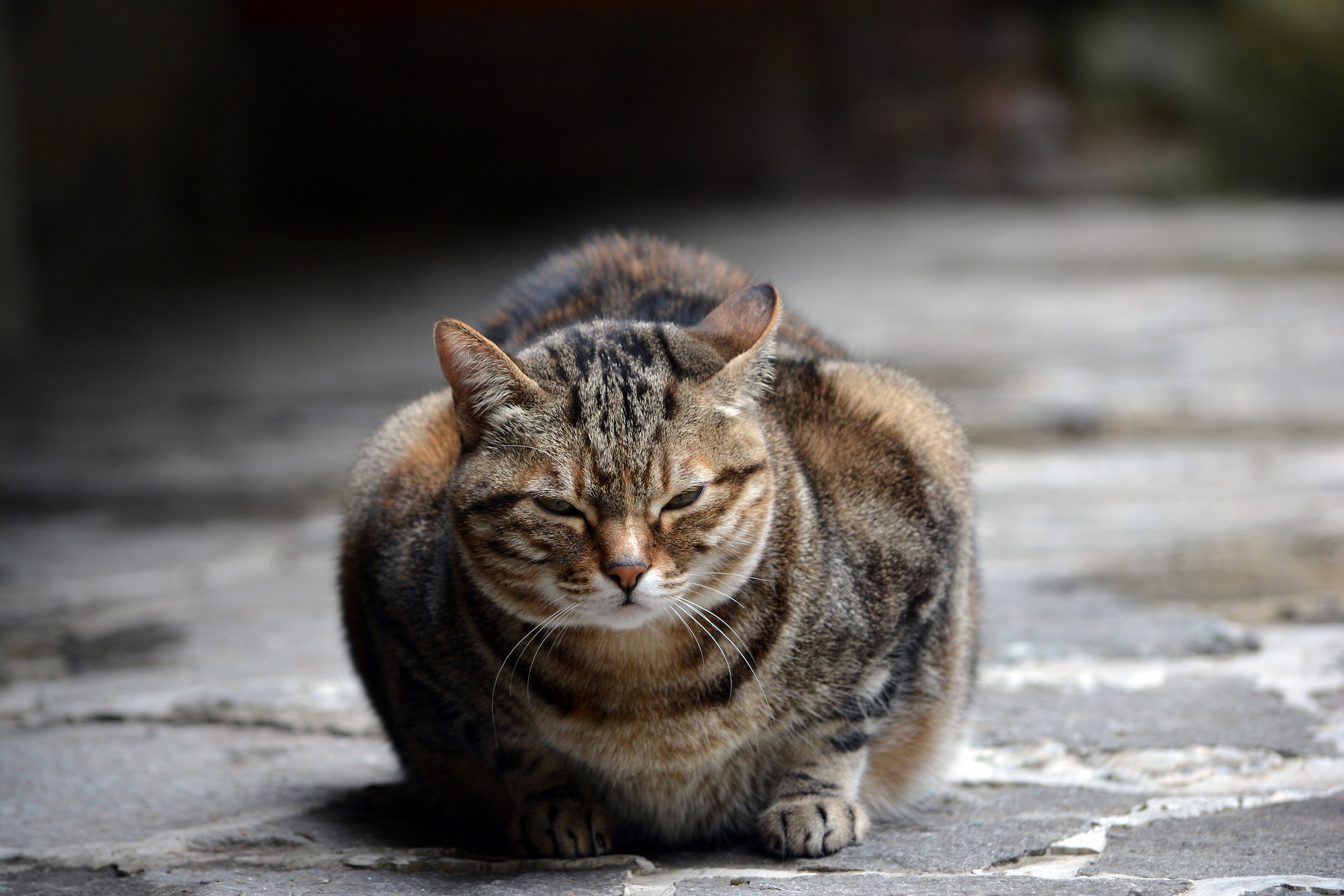 grazie, non ci passavo...