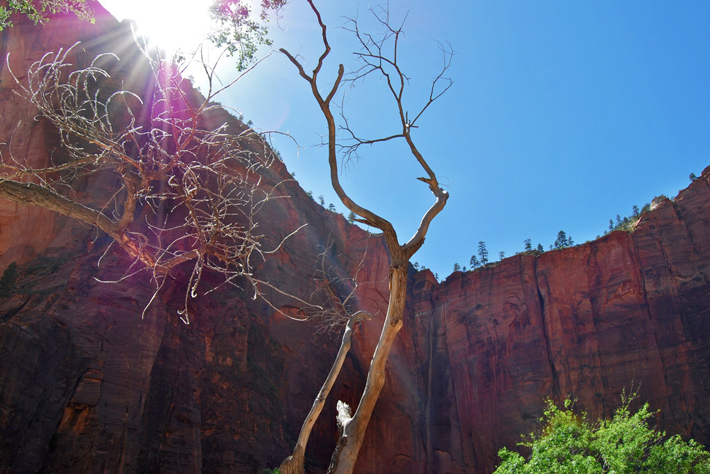 Zion National Park_2