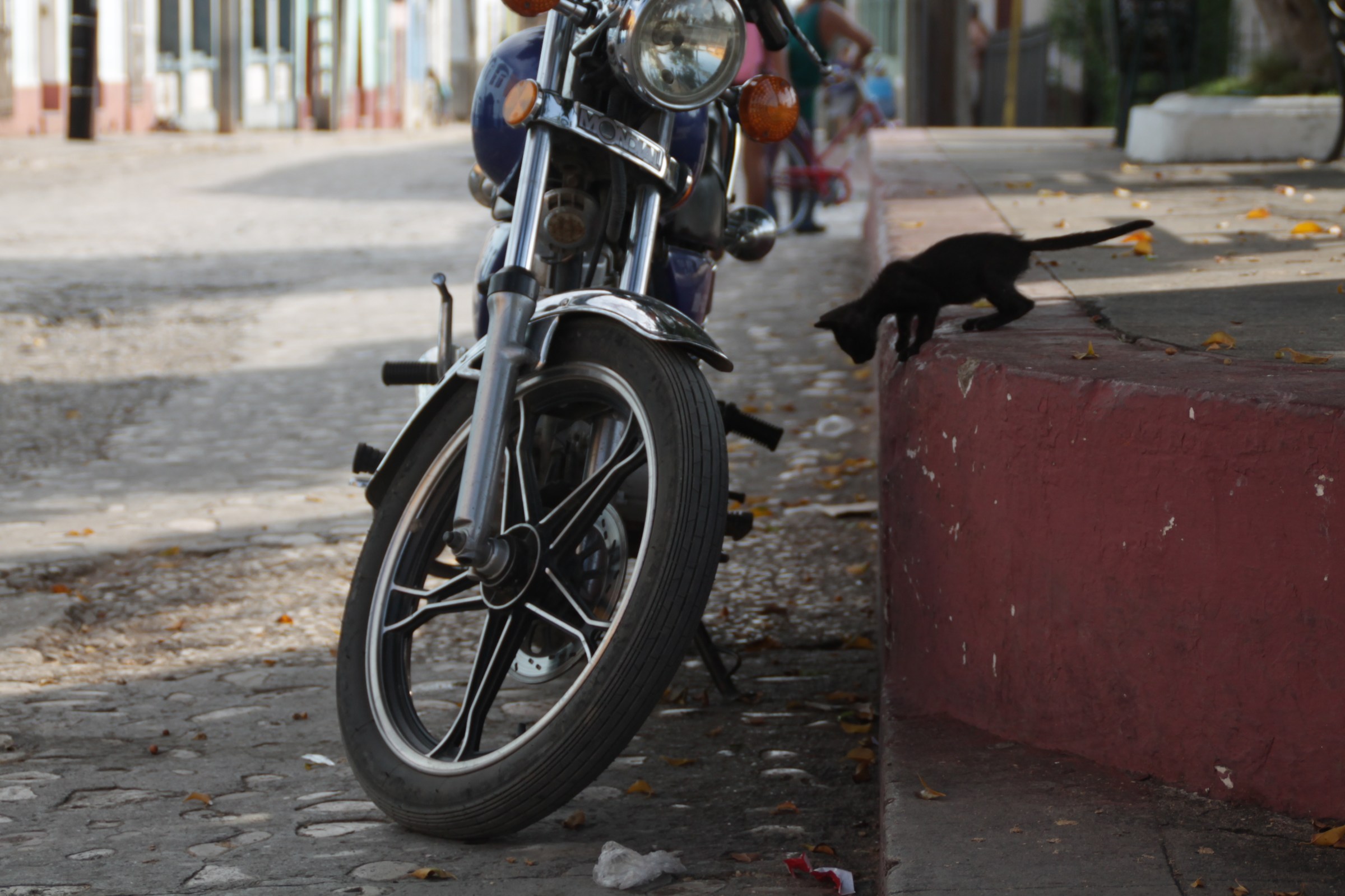 Trinidad - Senza titolo