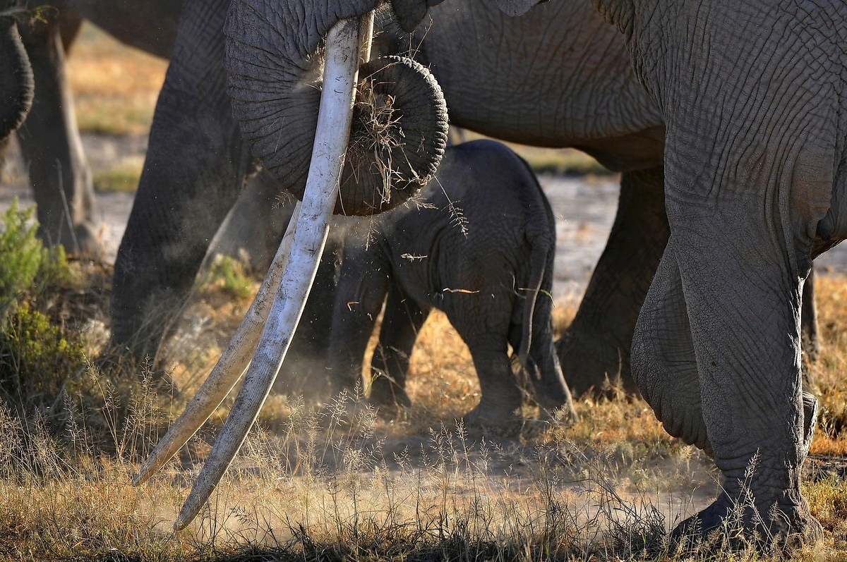 Please, don't touch and don't catch!